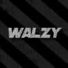 40c4bf walzyp