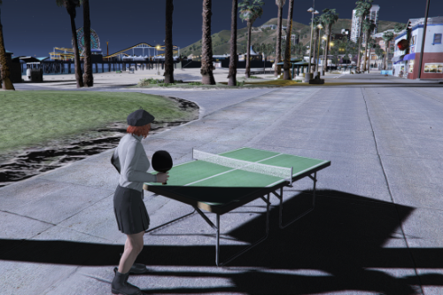 Table Tennis Ping Pong