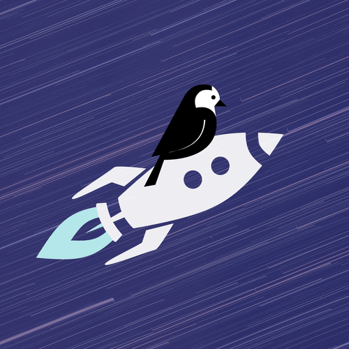 You're looking at a wagtail shooting through purple space on top of a rocket ship