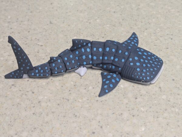 Articulated Whale Shark - 3D Printed - Articulated Whale Shark with Accent Color, Sensory Toy, Fidget Toy, Stim Toy